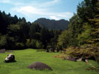 Jardin japonais dans les gorges de Nezame-no-toko