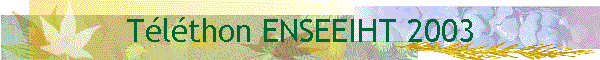T�l�thon ENSEEIHT 2003